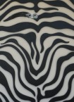 Canvas Zebra